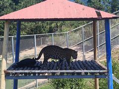 -西霞口神雕山野生动物世界