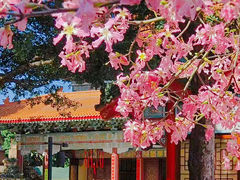 -广东圆玄道观