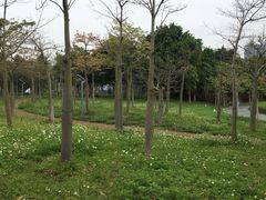 -琅岐红光湖公园