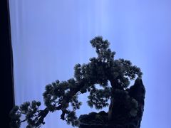 -滇铺子(欣都龙城店)