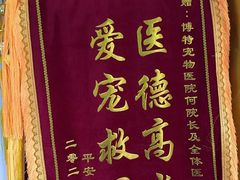 -博特宠物医院24h犬猫全科.骨科·异宠