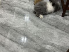 -三旗百汇商品城