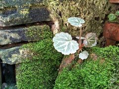 -邱记私房菜·十八年本地菜