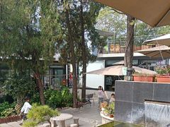 -蘇河湾·新鲁菜·泰山宴(泰山店)