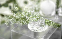 点击看大图 -华侨城洲际大酒店·宴会厅