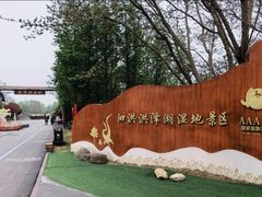 -泗洪洪泽湖湿地景区