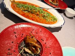 -南堂馆·新川菜(春熙路店)