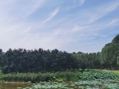 -东郊湿地公园