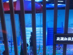 -青水瓦台汤泉(未央店)