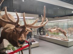-北京中医药大学-中医药博物馆