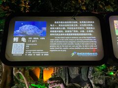 -泉城欧乐堡海洋极地世界