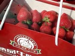 -心乐生活新鲜屋(星海广场店)