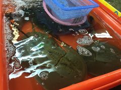 -班赞海鲜市场