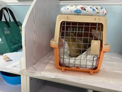 -纳吉亚猫专科动物医院·北北分院