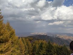 -苏木山森林公园