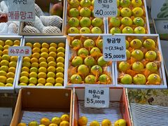 -西归浦每天偶来市场