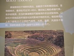 -金沙遗址博物馆