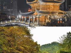 -贵州森林野生动物园