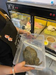 -神奇动物撸宠馆·羊驼·小浣熊·异宠(豫园店)