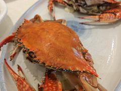 -奕景海鲜·大连菜(星海广场店)