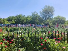 -国家植物园南园