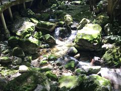 -牛背梁国家森林公园