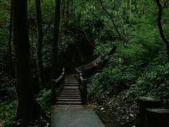 -青城山