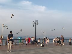 -东港音乐喷泉广场