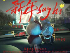 -枫花园汽车电影院(朝阳公园店)