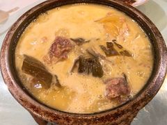 甲鱼-食家鸽园