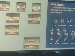-舟山博物馆