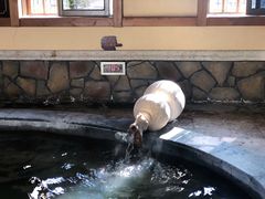 -宁波杭州湾海底温泉