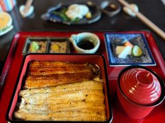 -料亭菊水楼