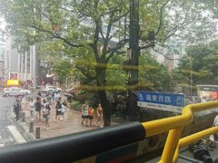 -BUS TOUR观光巴士