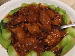 -千灯盛汇·头牌粤菜(致越优城店)
