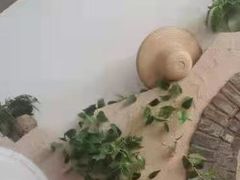 -城边边烧烤-魏晋烤肉旗舰店