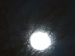 -楠火锅(龙阳广场店)