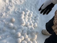 -沈阳奥体冰雪嘉年华