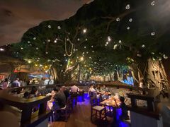 -杭州开元森泊度假乐园