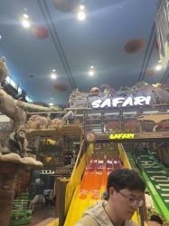 -卡通尼·Safari非洲探索乐园·生日会(金桥国际商业广场店)