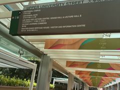 -香港大学