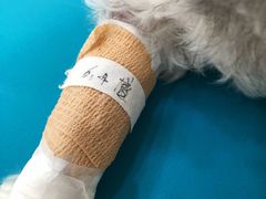 -美联众合动物医院·24h京西诊疗中心