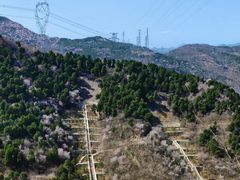 -白水寺森林公园