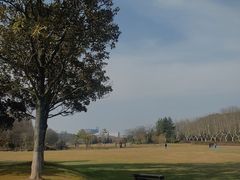 -宜兴龙背山森林公园