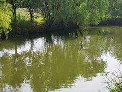 -长兴太湖图影湿地文化园