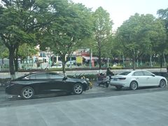 -金塔傣乡·云南民族特色菜·傣味手抓饭(金瓦路店)