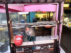 -万商花鸟市场