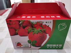 -昌平兴寿秀秀草莓采摘园