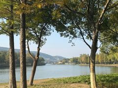 -长广溪湿地公园