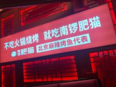 门面-南锣肥猫·麻辣烤鱼·16年现烤现卖(财富购物中心店)